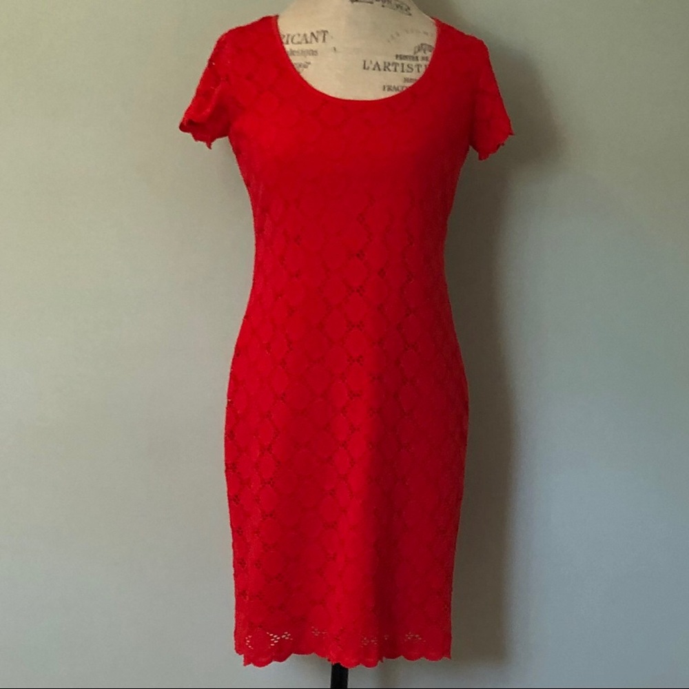 Ronni Nicole Orange Lace Strech Summer  Dress S 8